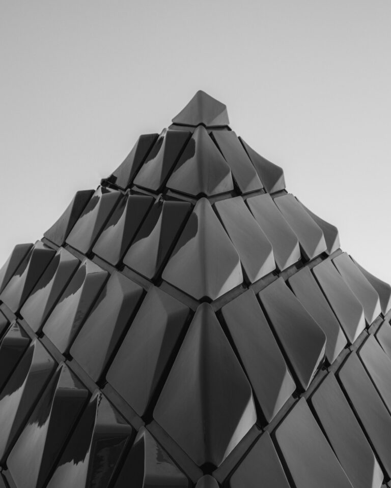 Embodied Authority for Women: The 6 Levels of Nervous System Leadership