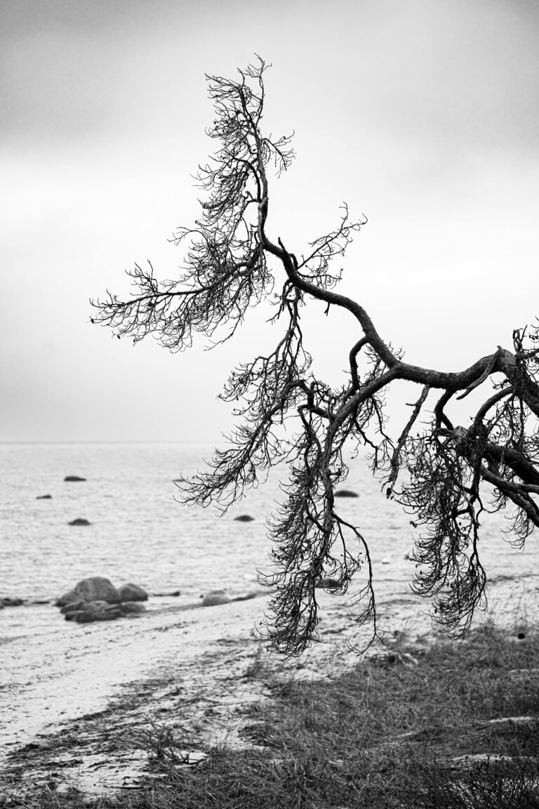 Embodied Authority Under Pressure: Why Resilience Fails Senior Female Leaders